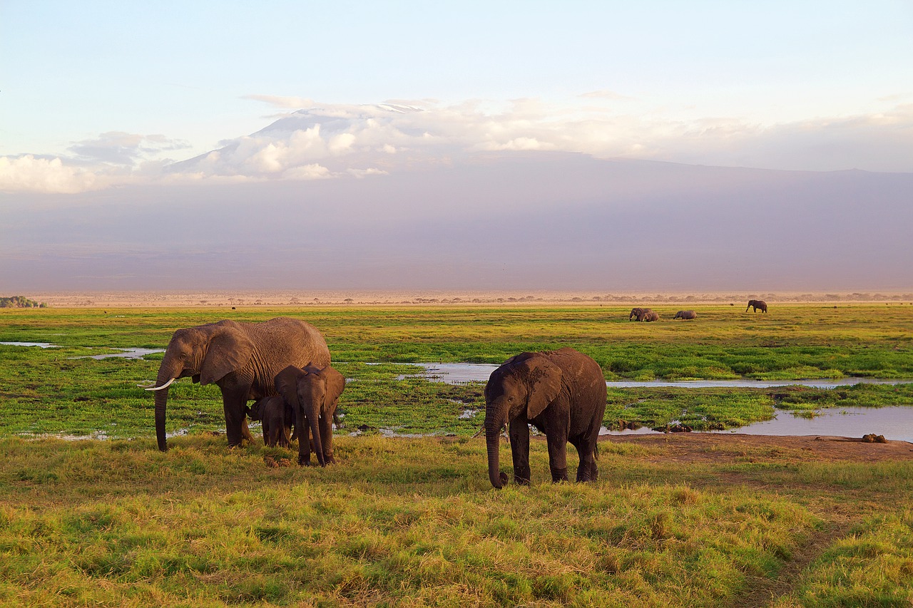 Time Attendance in Kenya